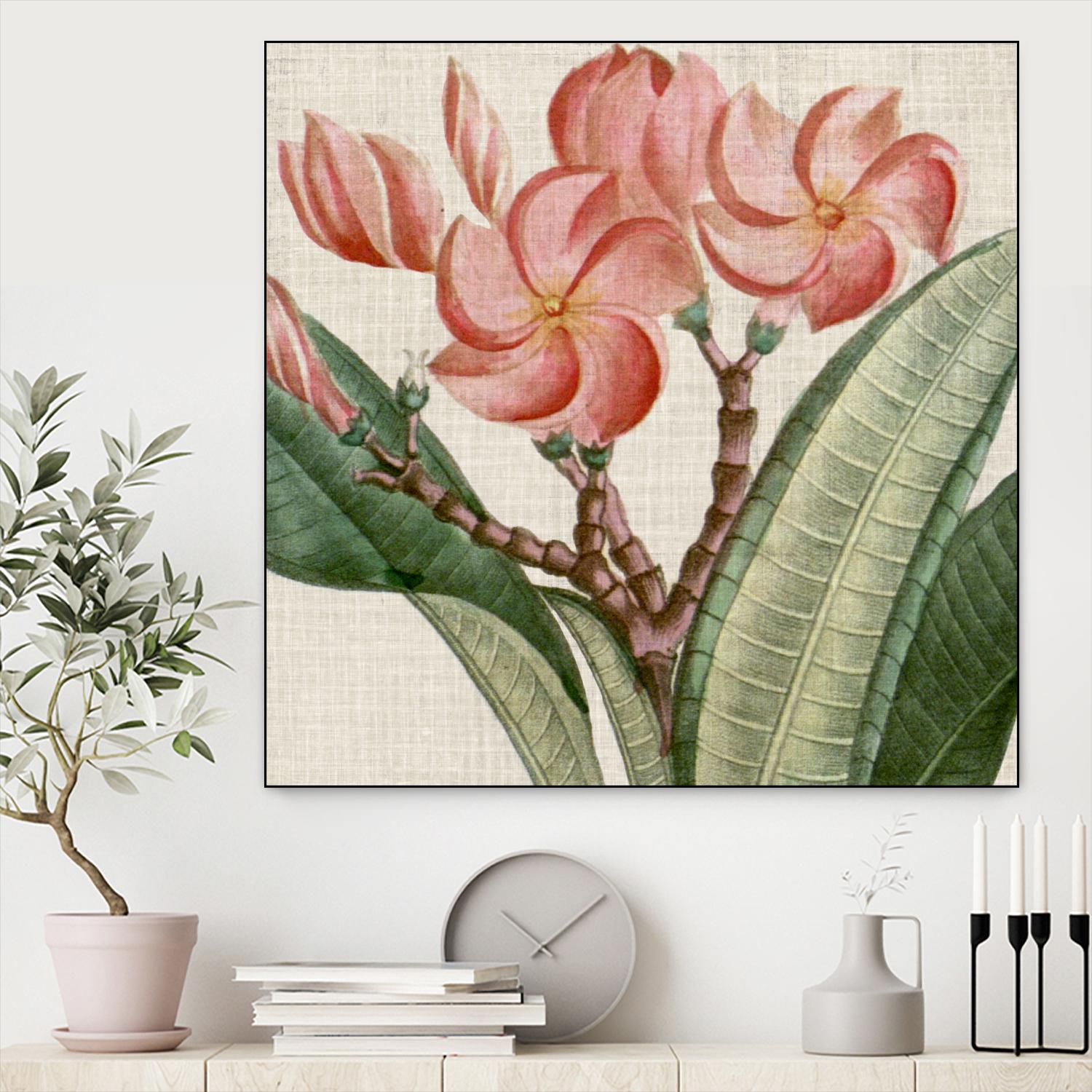 Cropped Turpin Tropicals VII by Vision Studio on GIANT ART - pink botanical & floral nature