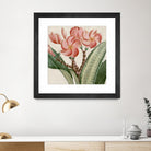 Cropped Turpin Tropicals VII by Vision Studio on GIANT ART - pink botanical & floral nature