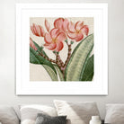 Cropped Turpin Tropicals VII by Vision Studio on GIANT ART - pink botanical & floral nature