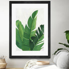 Pura Vida II by Grace Popp on GIANT ART - green coastal & tropical nature