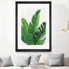 Pura Vida II by Grace Popp on GIANT ART - green coastal & tropical nature