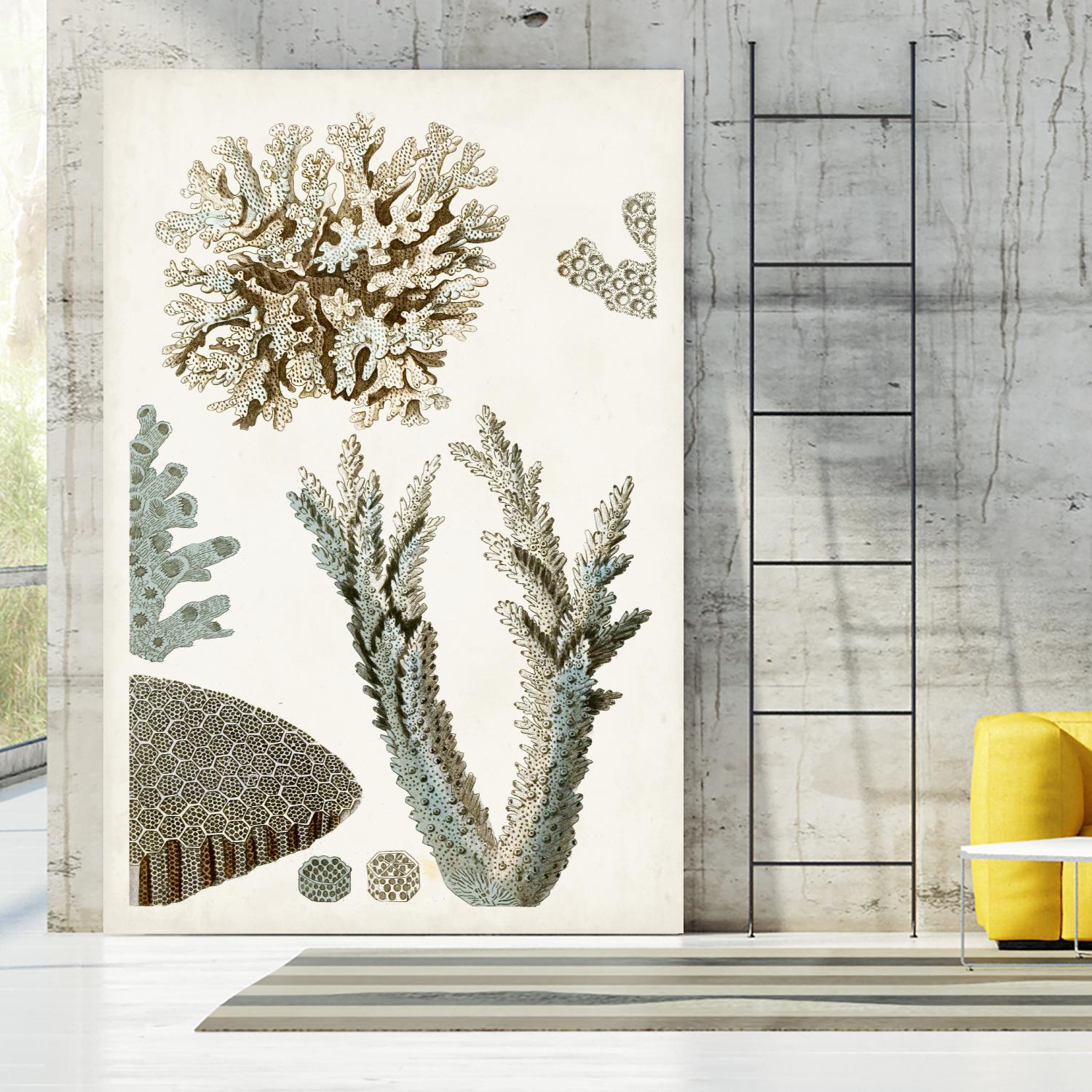 Coastal Curiosity VI by Unknown on GIANT ART - beige coastal & tropical sea