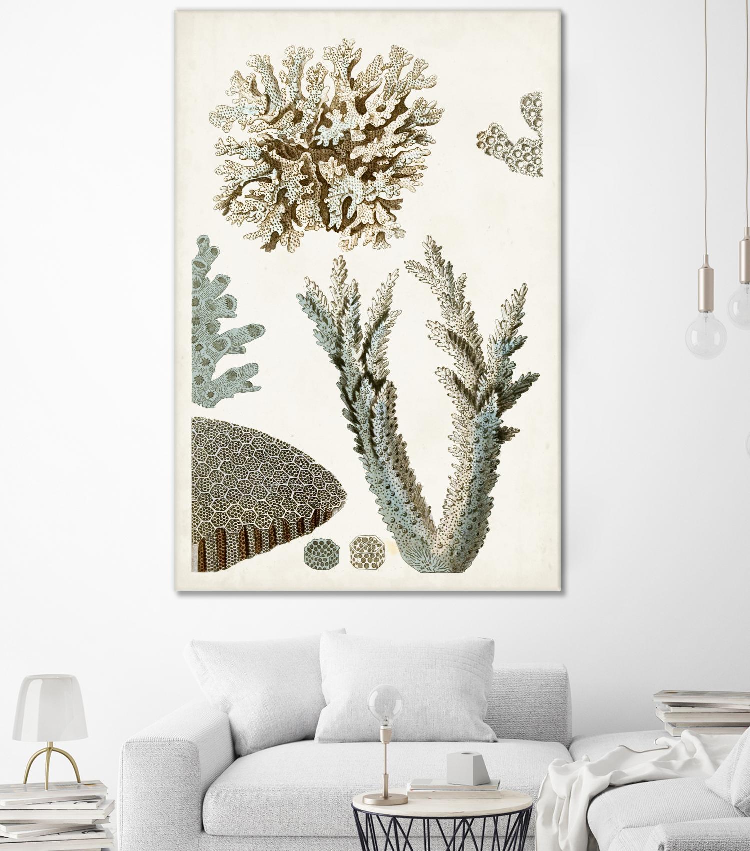Coastal Curiosity VI by Unknown on GIANT ART - beige coastal & tropical sea