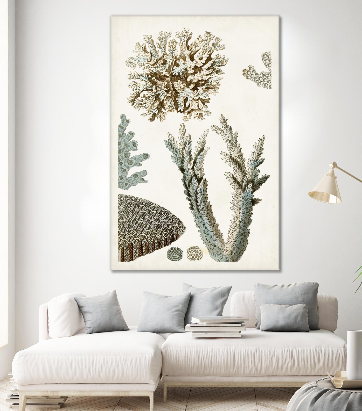 Coastal Curiosity VI by Unknown on GIANT ART - beige coastal & tropical sea