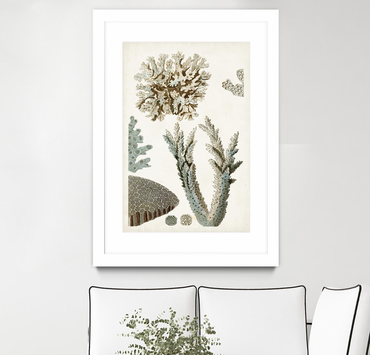 Coastal Curiosity VI by Unknown on GIANT ART - beige coastal & tropical sea