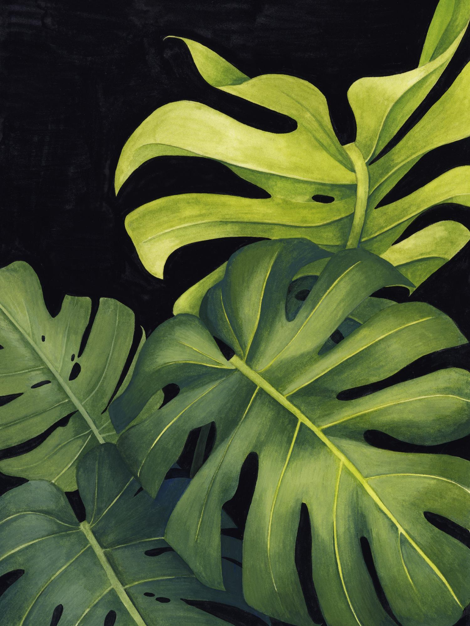 Night Monsteras I by Grace Popp on GIANT ART - green  coastal & tropical abstract