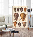 Antique Cone Shells I by Unknown on GIANT ART - orange beach