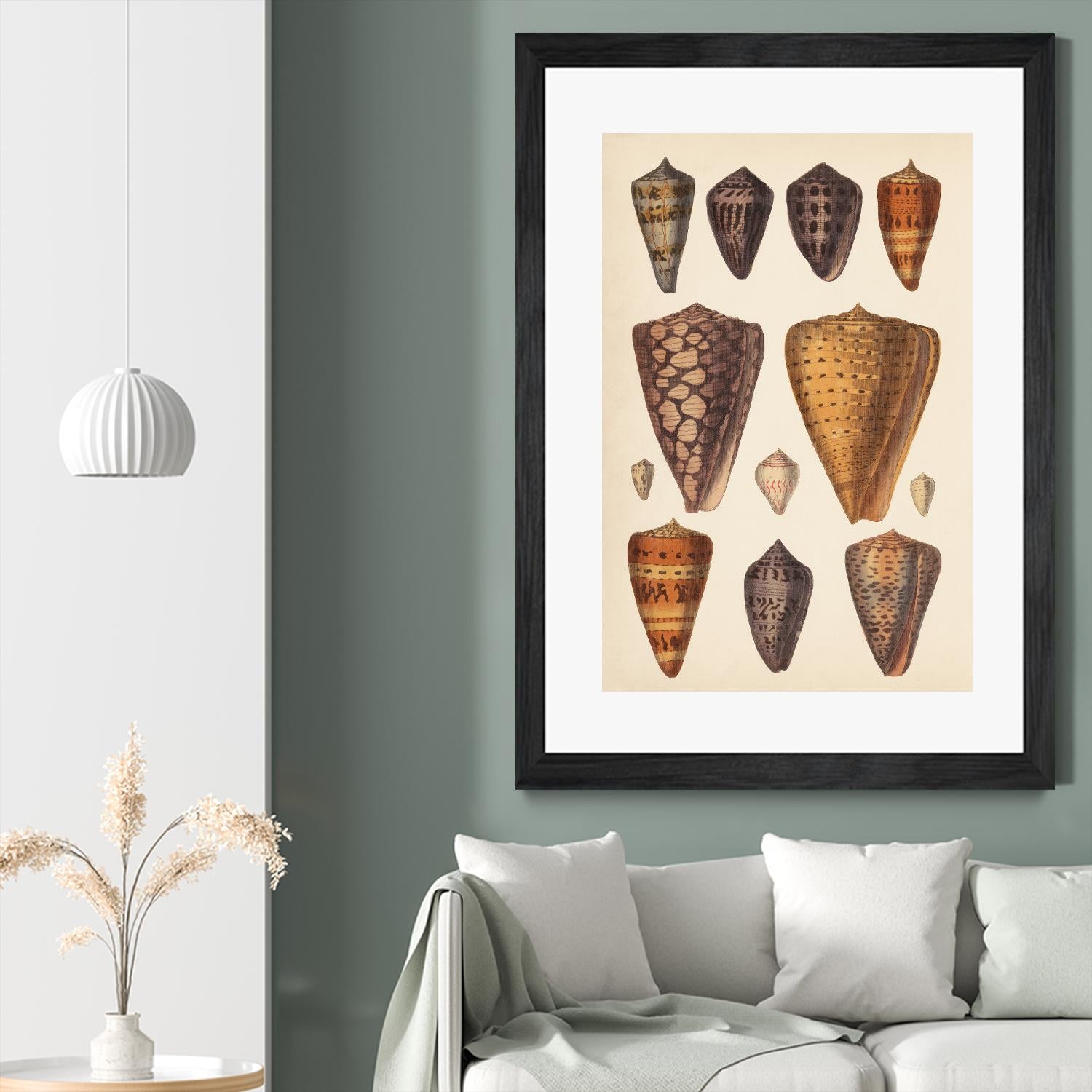 Antique Cone Shells I by Unknown on GIANT ART - orange beach