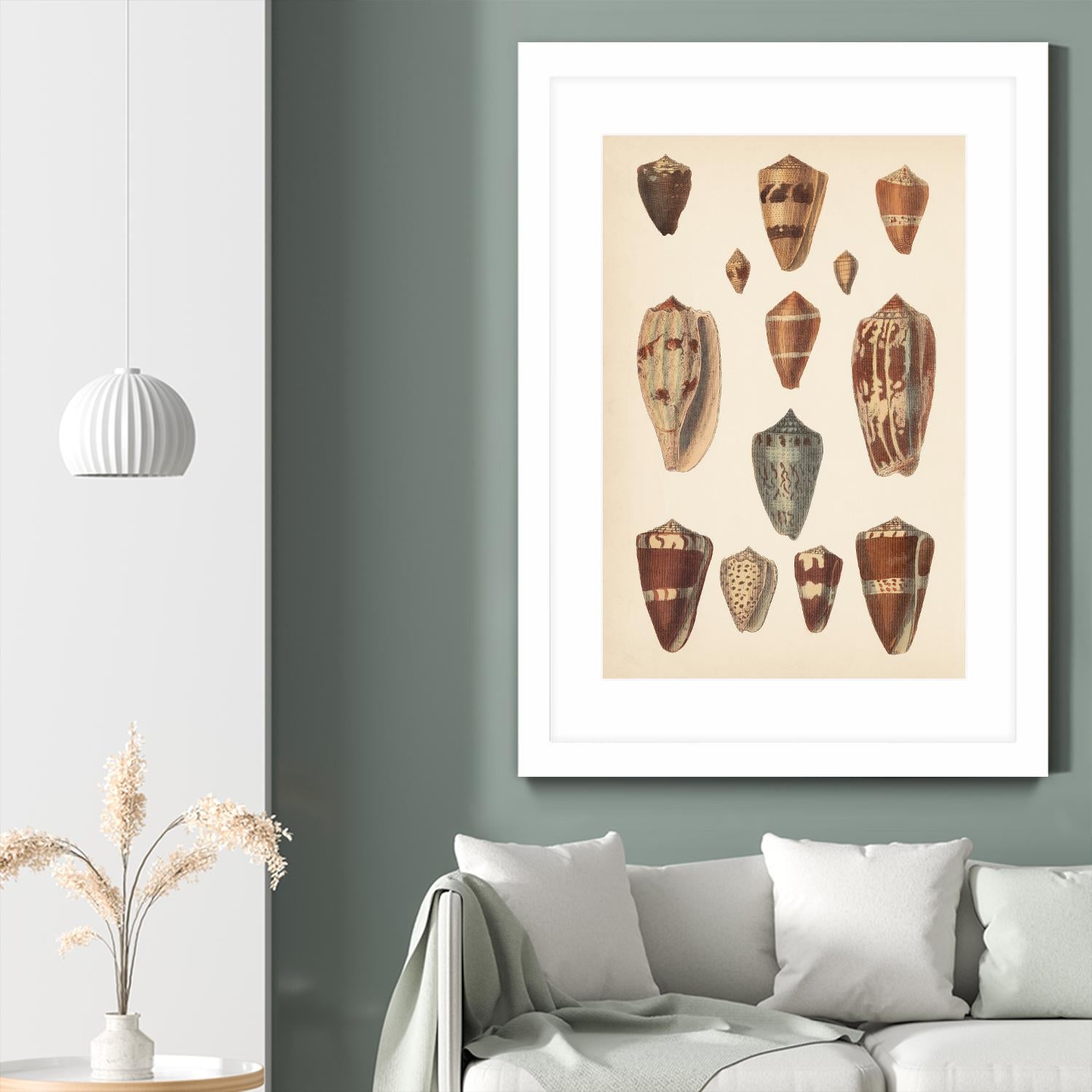 Antique Cone Shells II by Unknown on GIANT ART - beige seashell