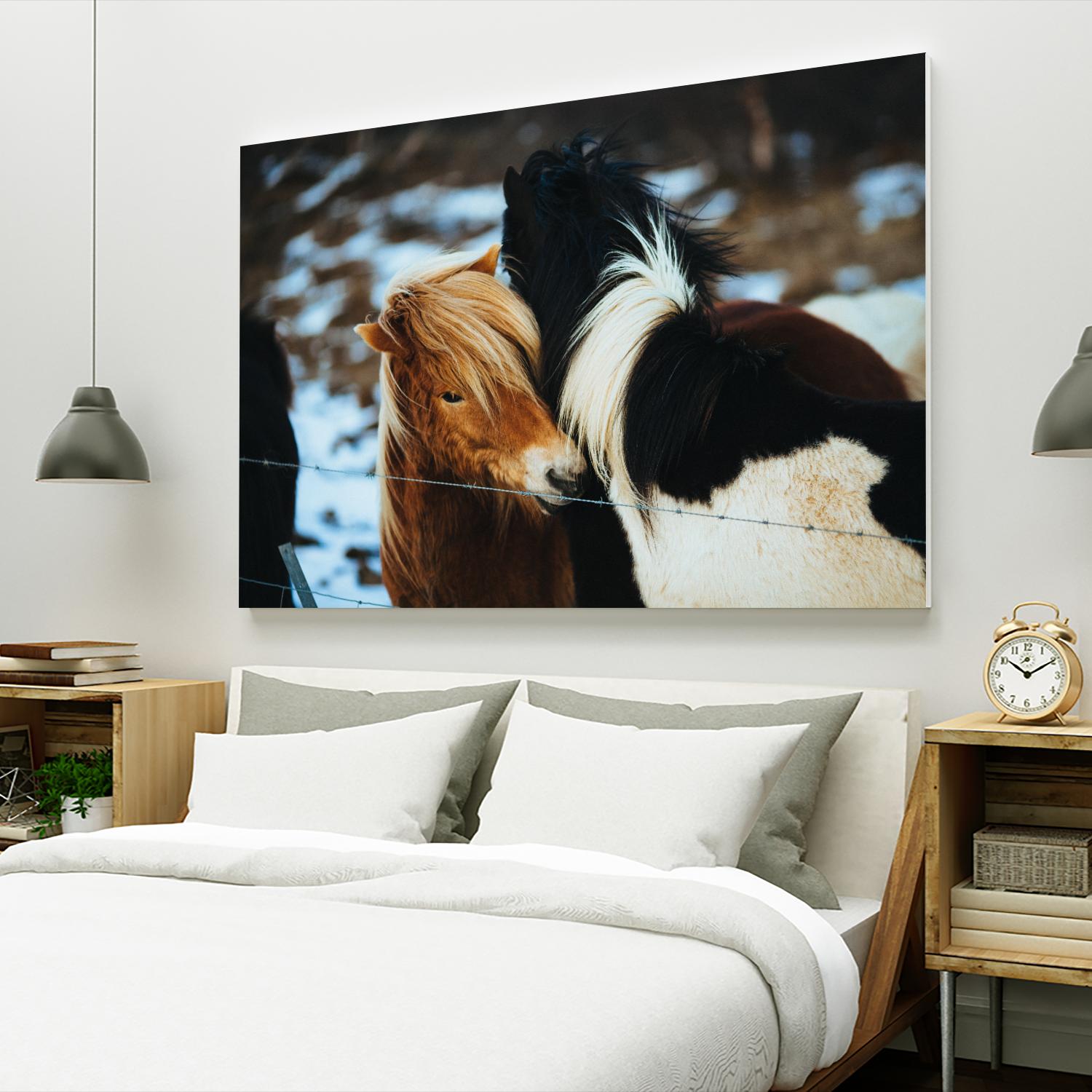 Poneys by Pexels on GIANT ART - black animals