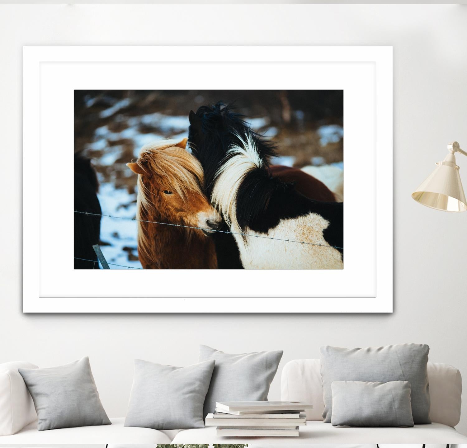 Poneys by Pexels on GIANT ART - black animals