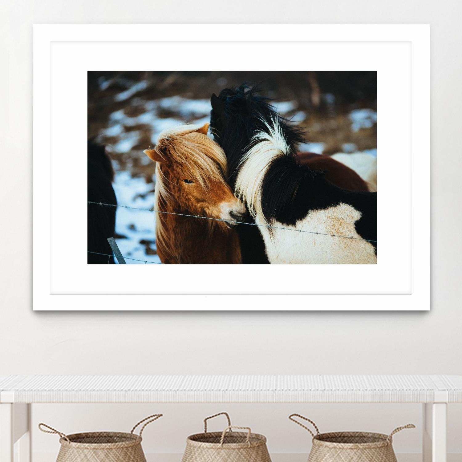 Poneys by Pexels on GIANT ART - black animals