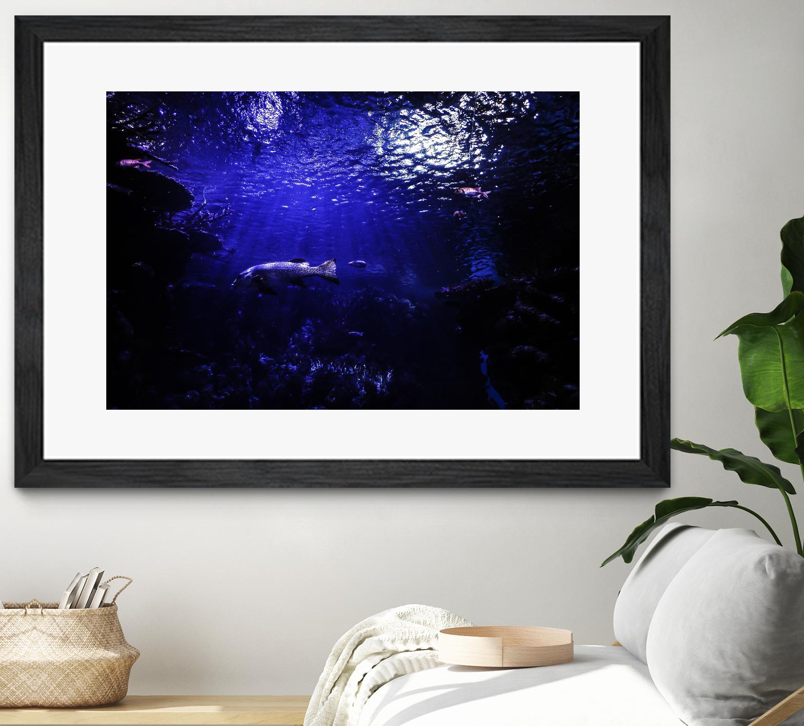 Dark Ocean by Pexels on GIANT ART - black sea scene