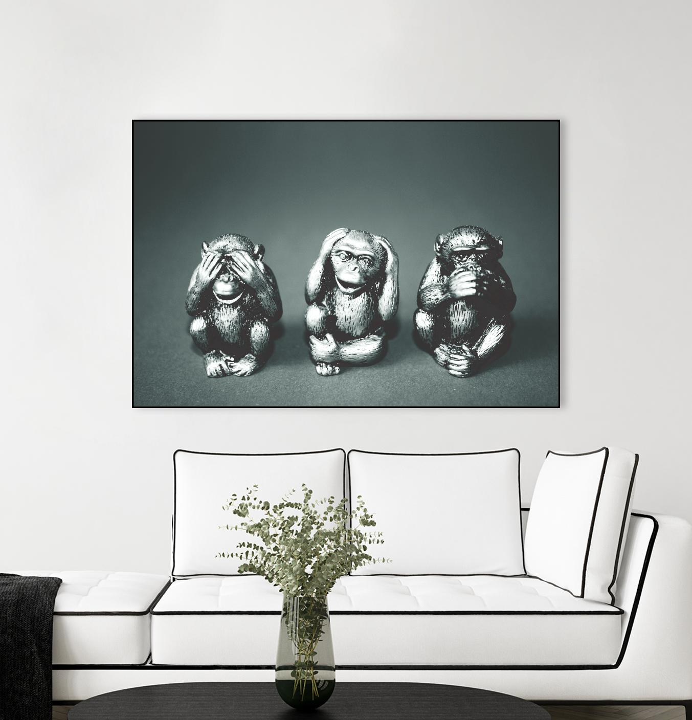 Wise monkeys by Pexels on GIANT ART - white animals