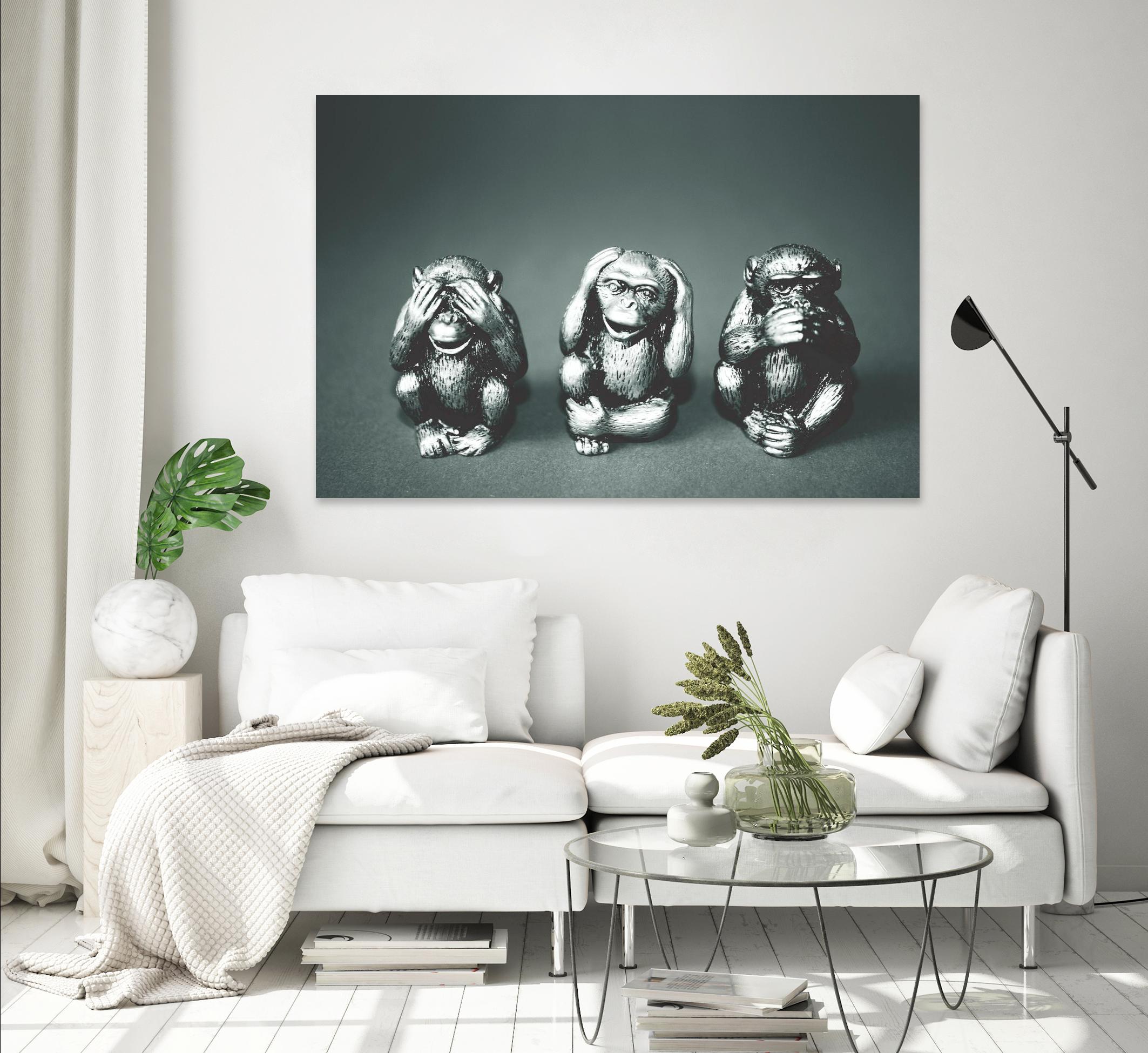 Wise monkeys by Pexels on GIANT ART - white animals