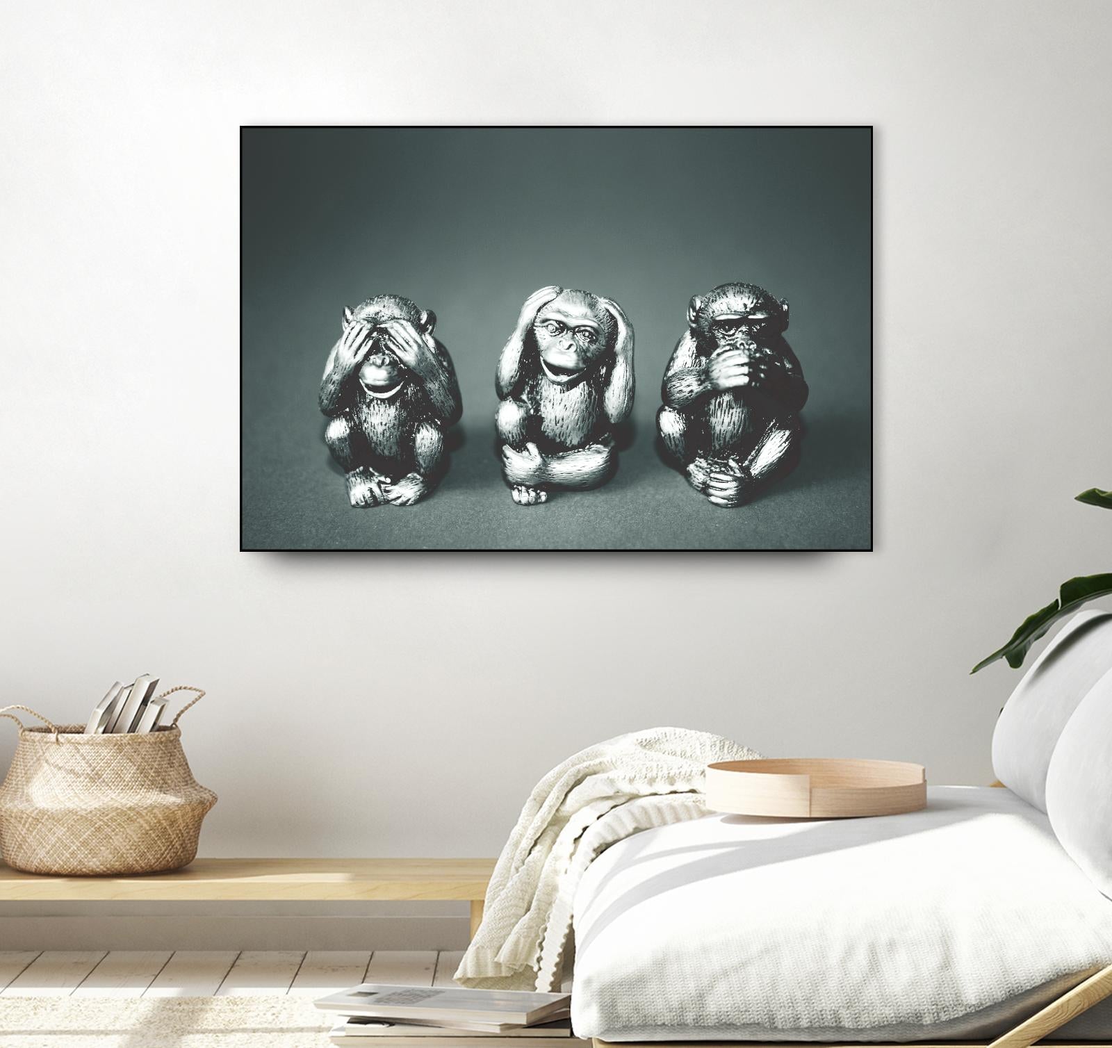Wise monkeys by Pexels on GIANT ART - white animals