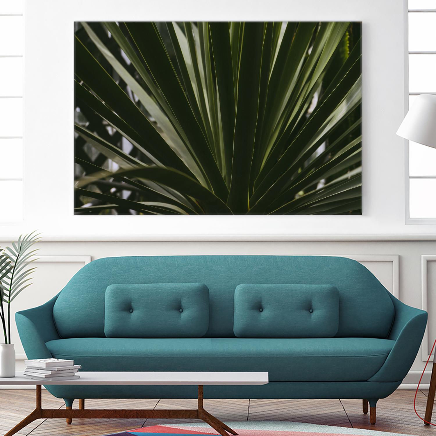 Palm by Pexels on GIANT ART - black tropical