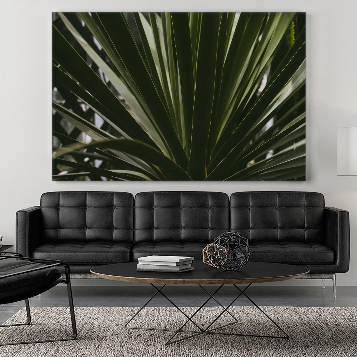 Palm by Pexels on GIANT ART - black tropical
