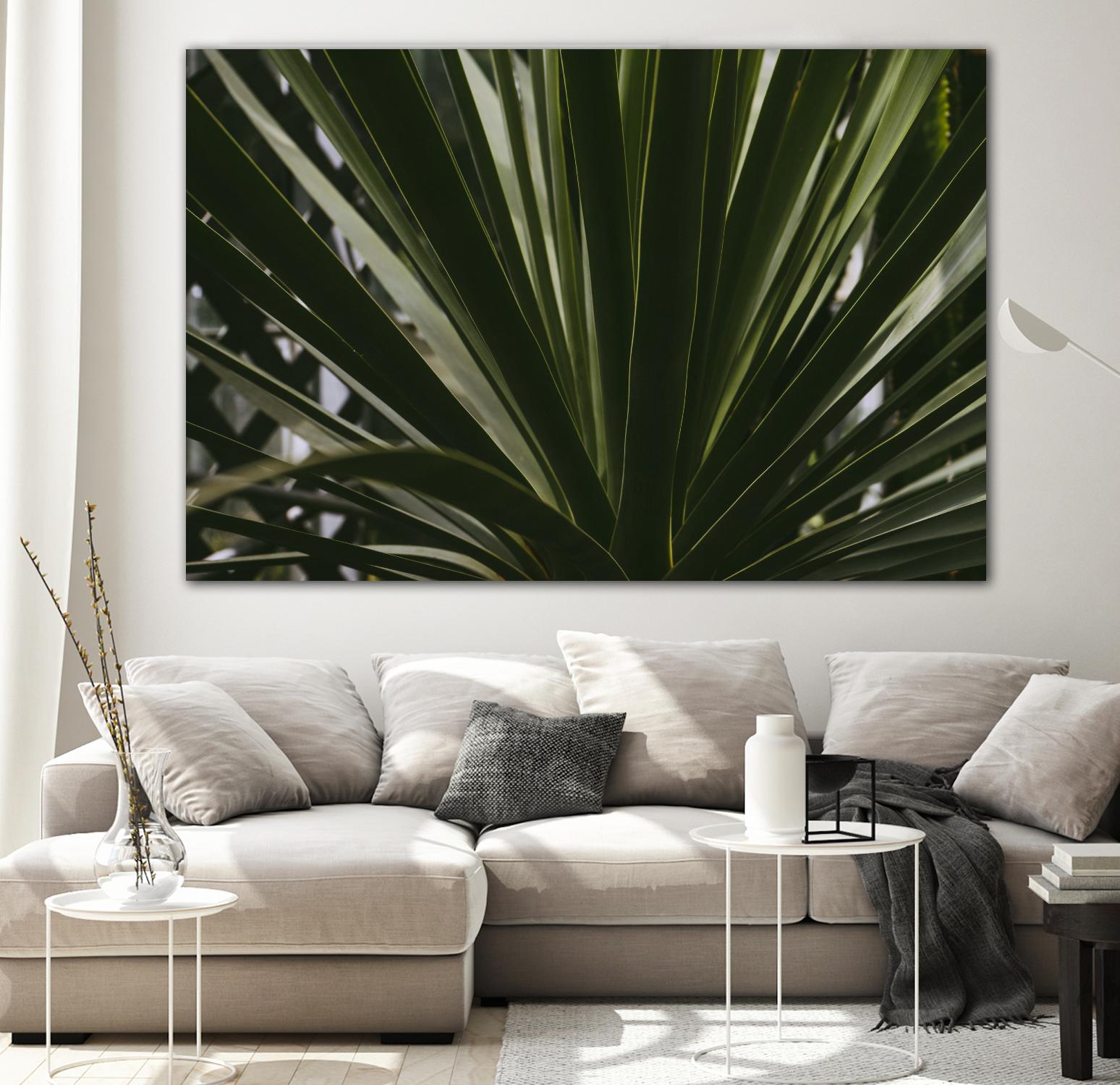 Palm by Pexels on GIANT ART - black tropical