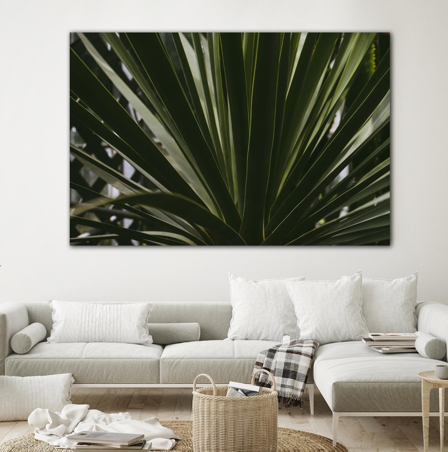 Palm by Pexels on GIANT ART - black tropical