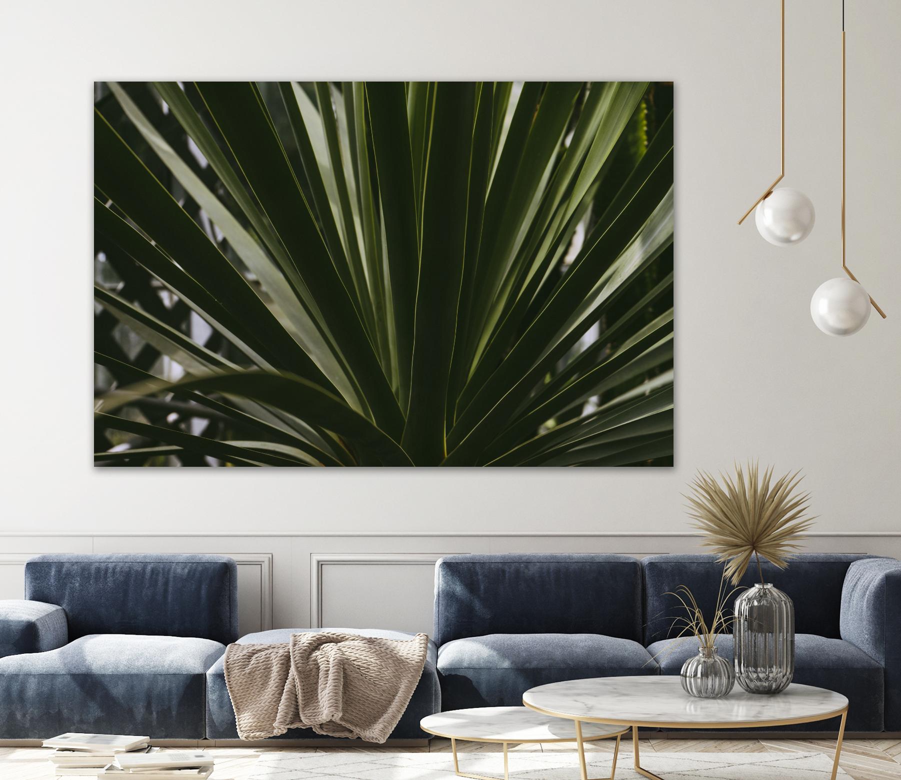 Palm by Pexels on GIANT ART - black tropical