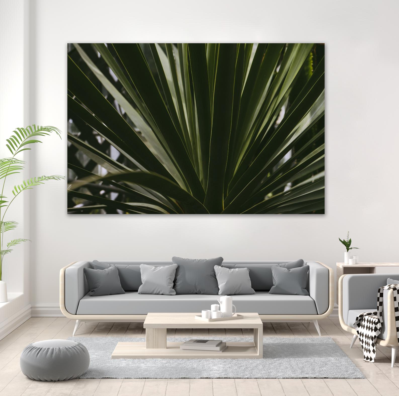 Palm by Pexels on GIANT ART - black tropical