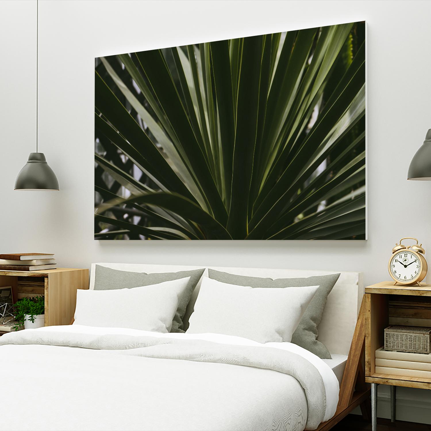 Palm by Pexels on GIANT ART - black tropical