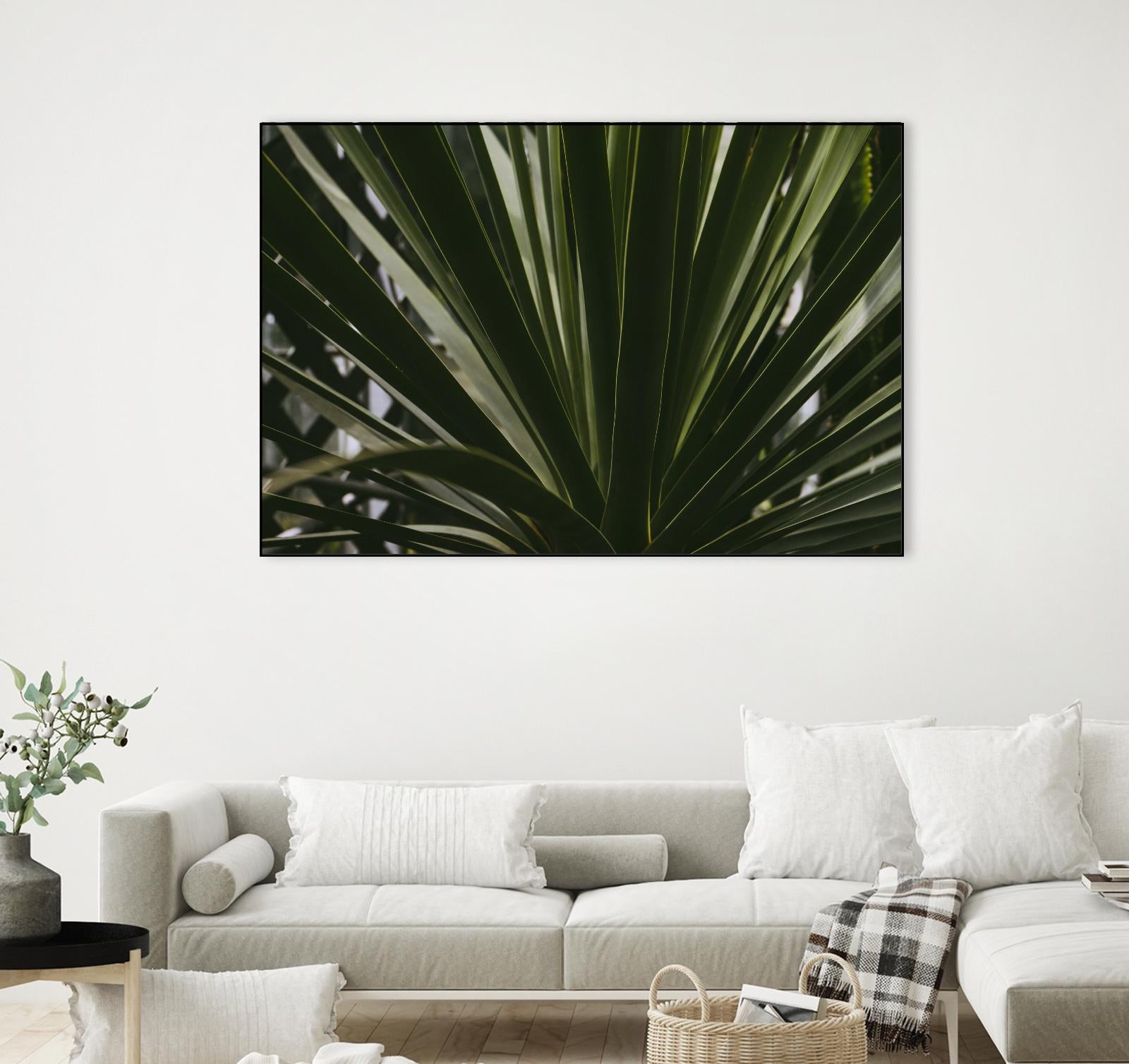 Palm by Pexels on GIANT ART - black tropical