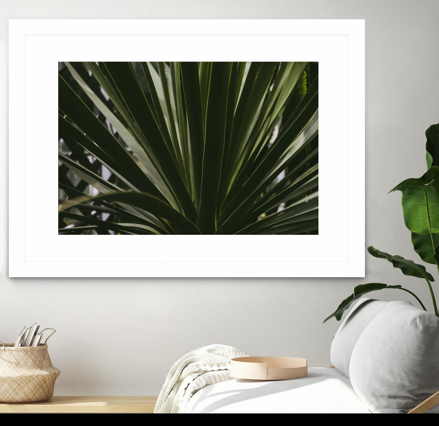 Palm by Pexels on GIANT ART - black tropical
