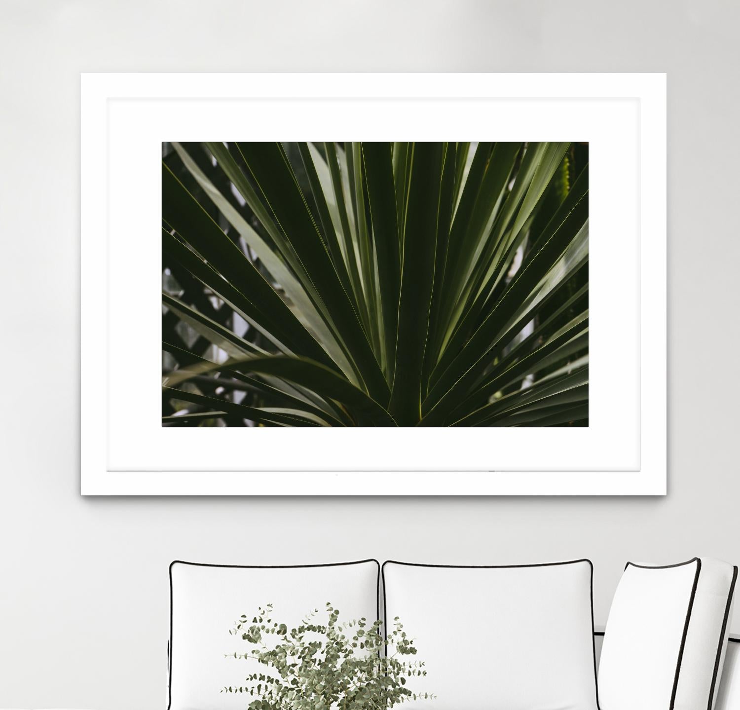 Palm by Pexels on GIANT ART - black tropical