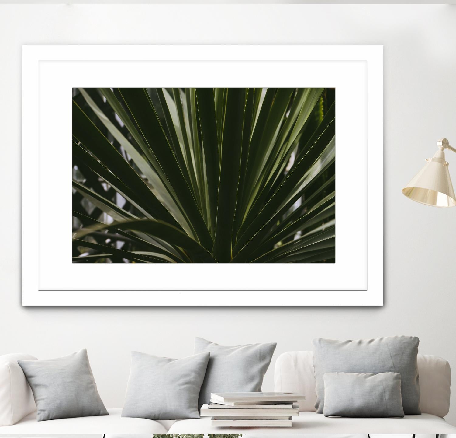 Palm by Pexels on GIANT ART - black tropical