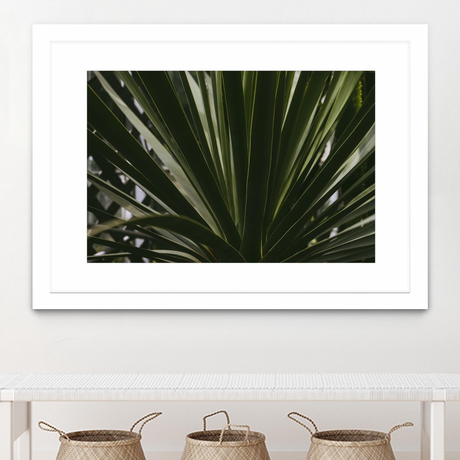 Palm by Pexels on GIANT ART - black tropical