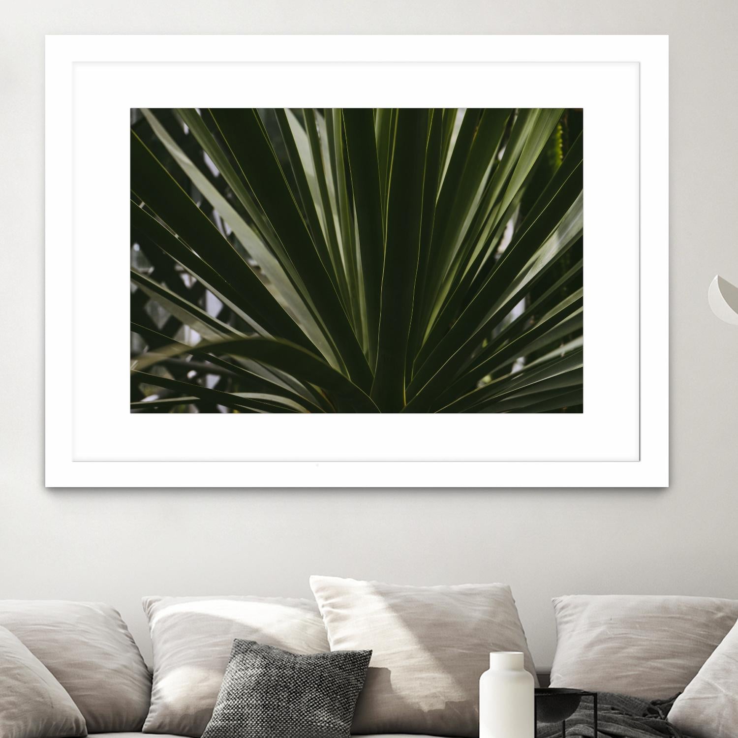 Palm by Pexels on GIANT ART - black tropical