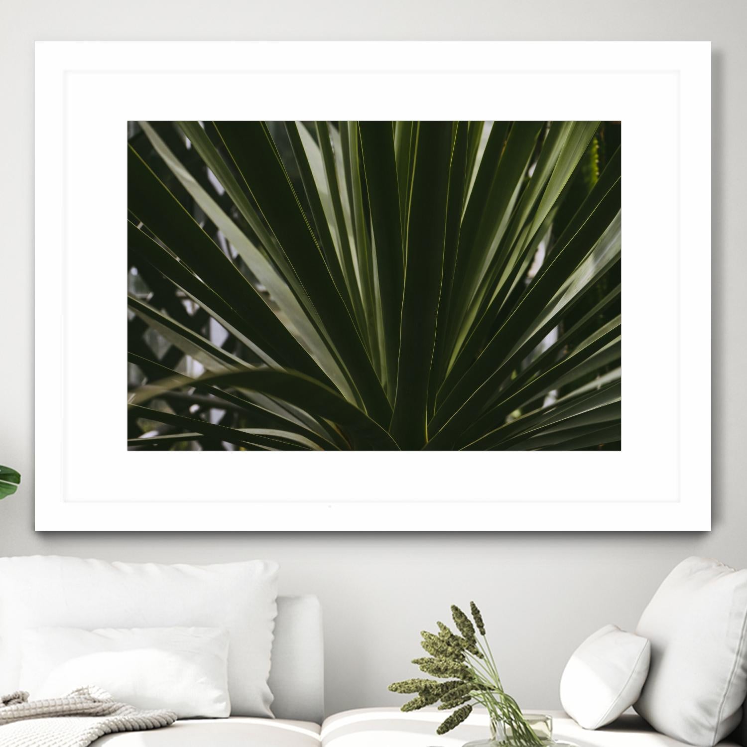 Palm by Pexels on GIANT ART - black tropical