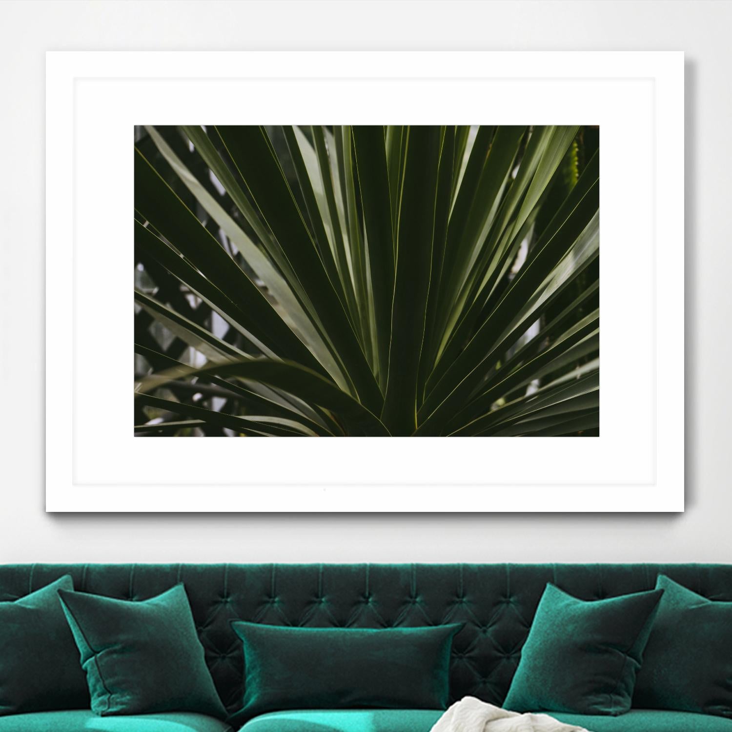 Palm by Pexels on GIANT ART - black tropical