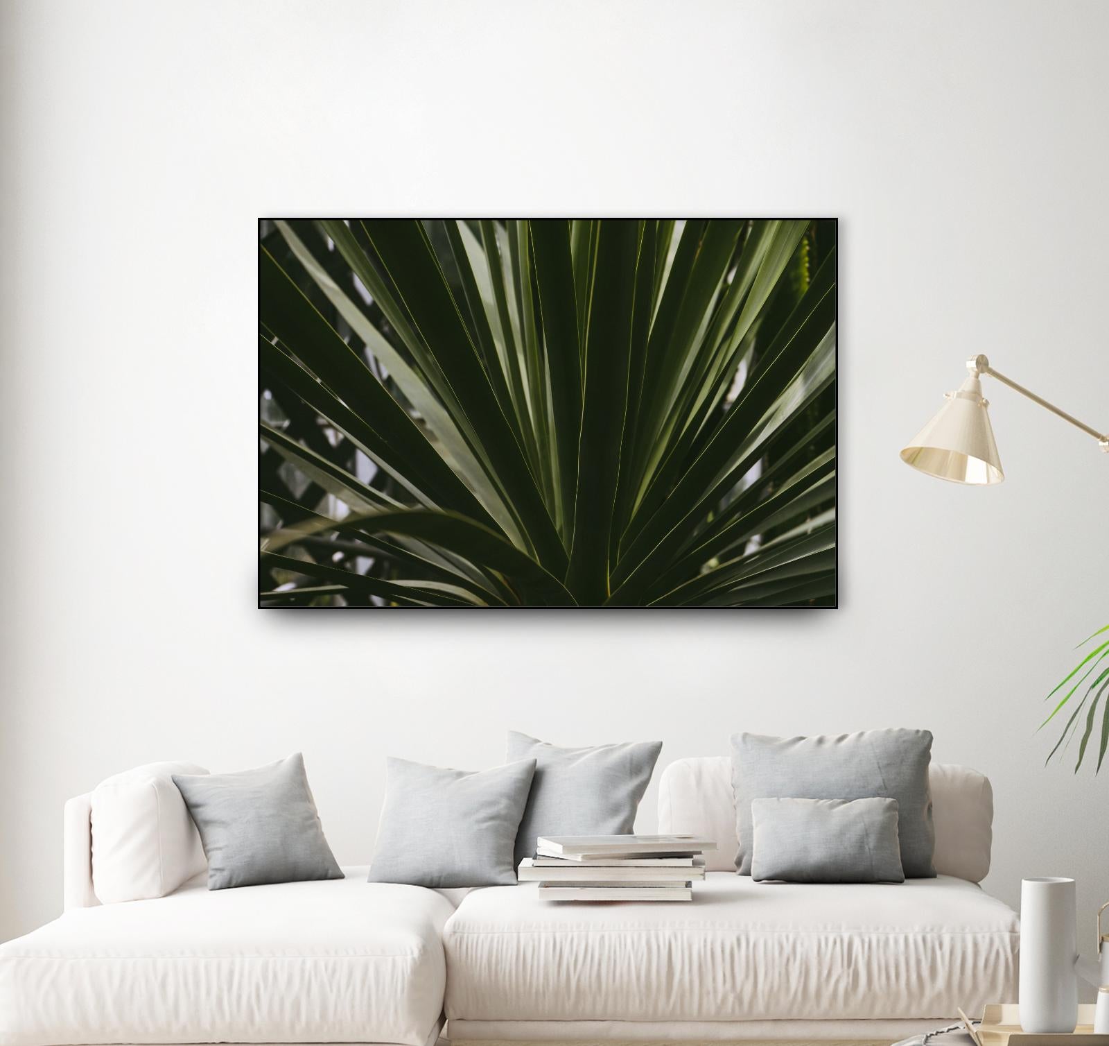 Palm by Pexels on GIANT ART - black tropical
