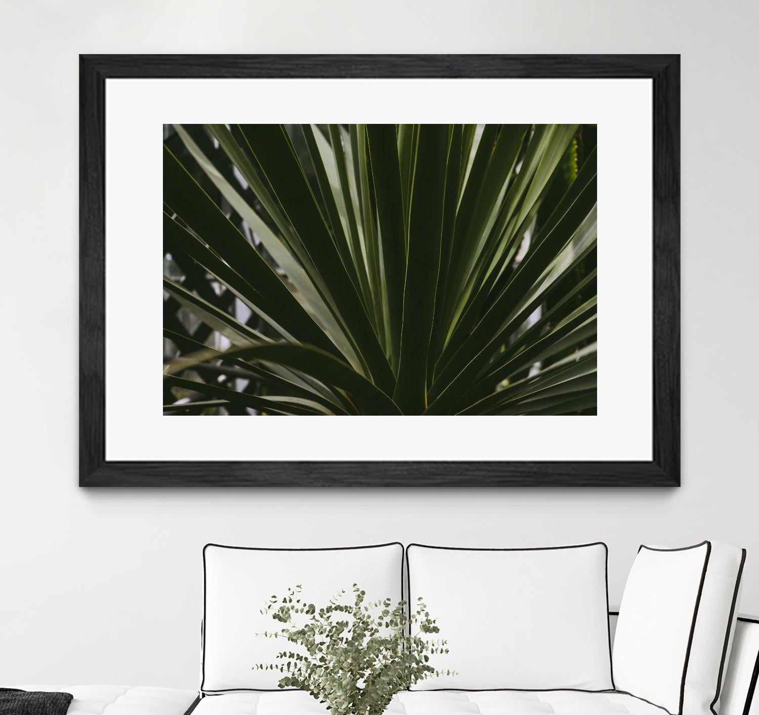 Palm by Pexels on GIANT ART - black tropical