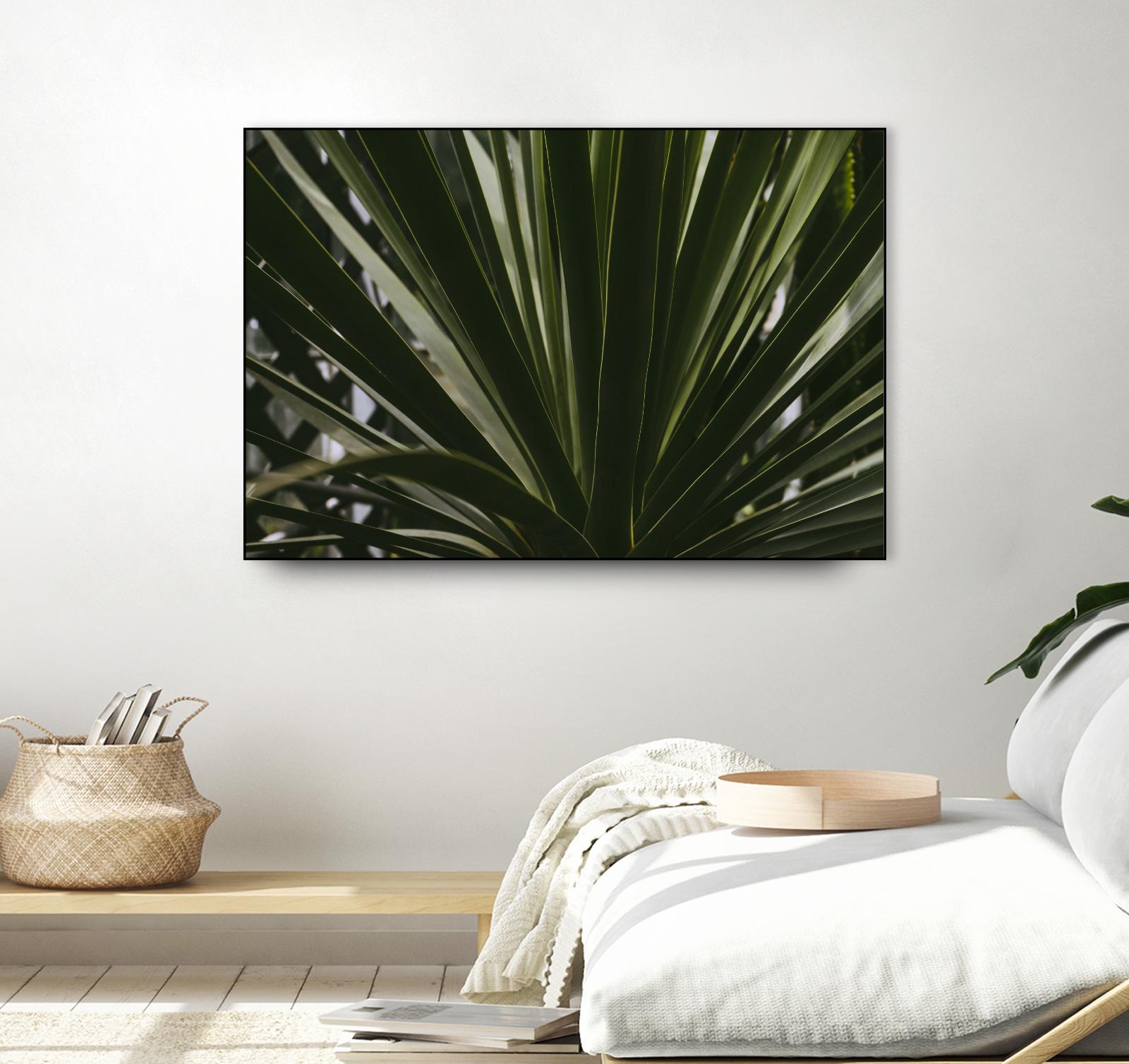 Palm by Pexels on GIANT ART - black tropical