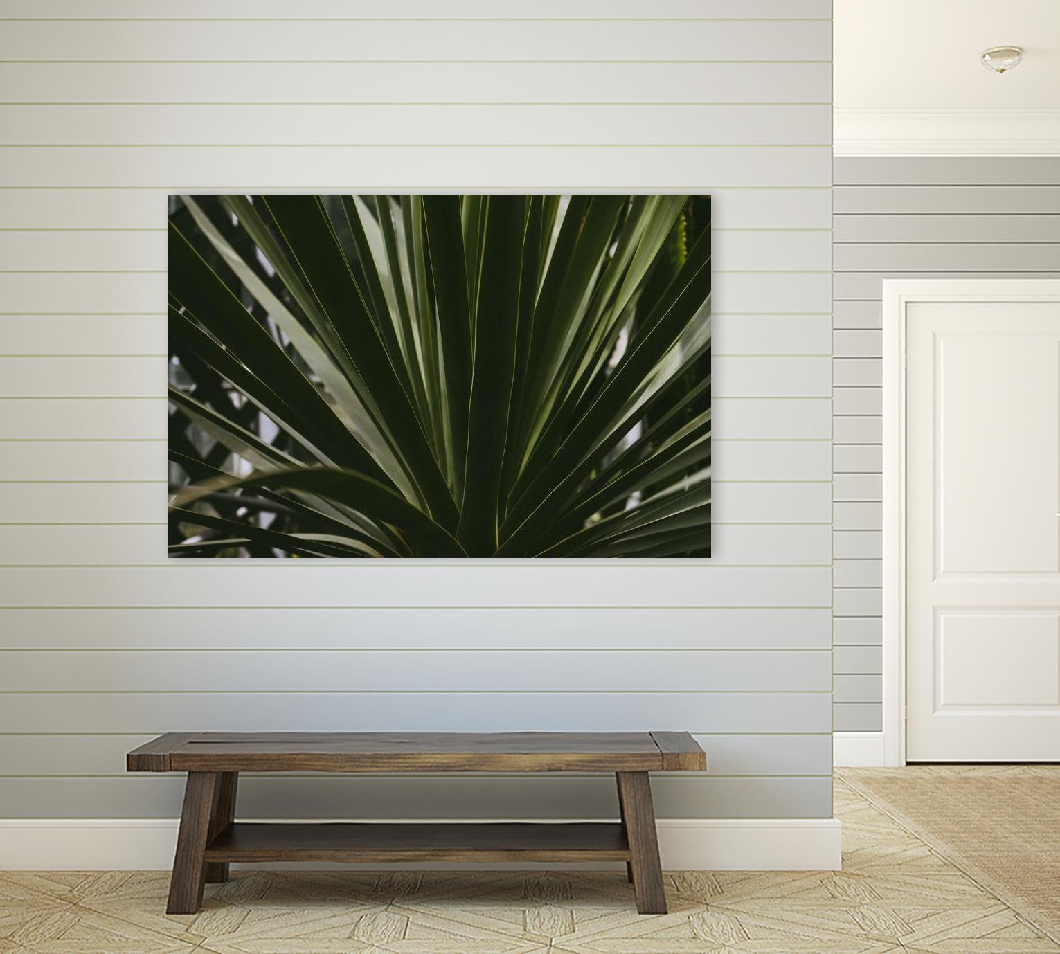Palm by Pexels on GIANT ART - black tropical