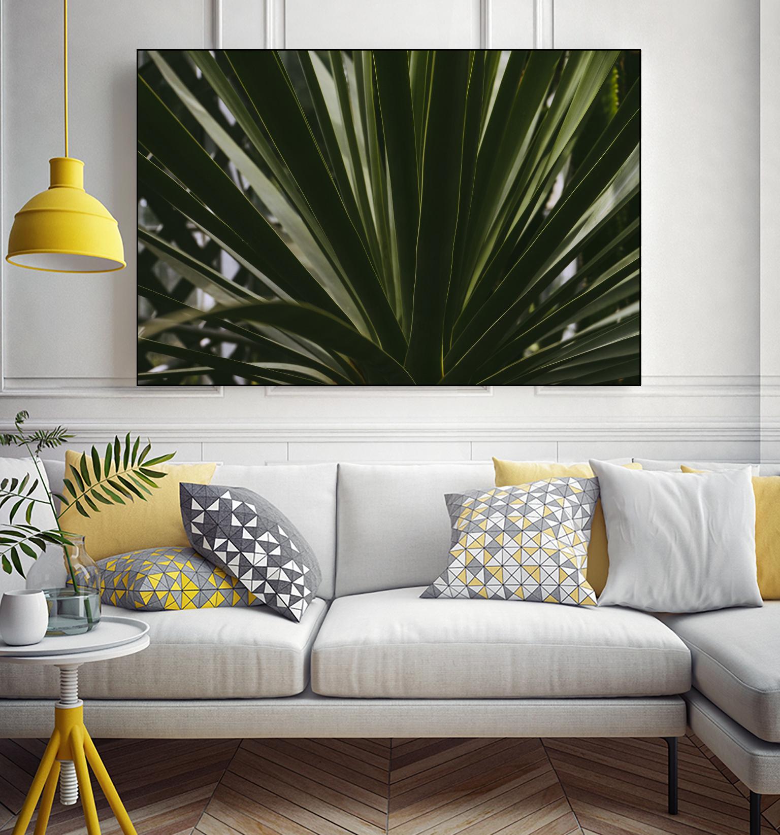 Palm by Pexels on GIANT ART - black tropical