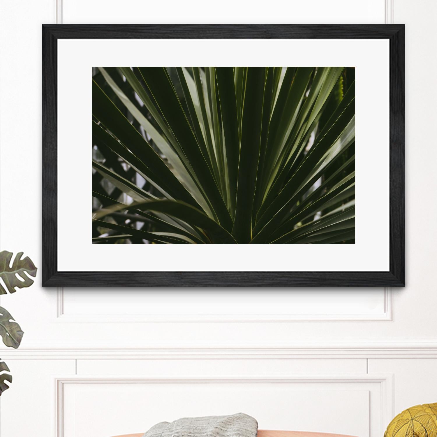 Palm by Pexels on GIANT ART - black tropical