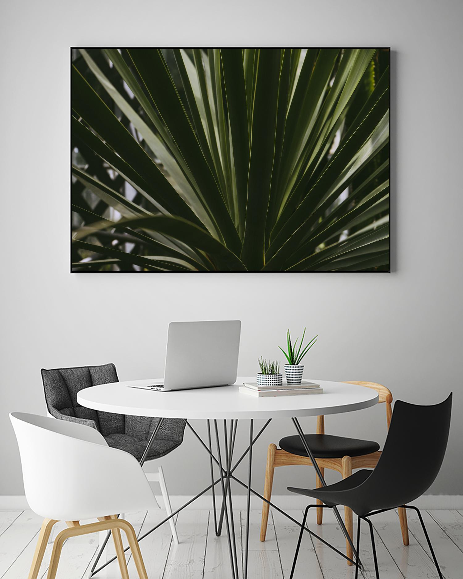 Palm by Pexels on GIANT ART - black tropical