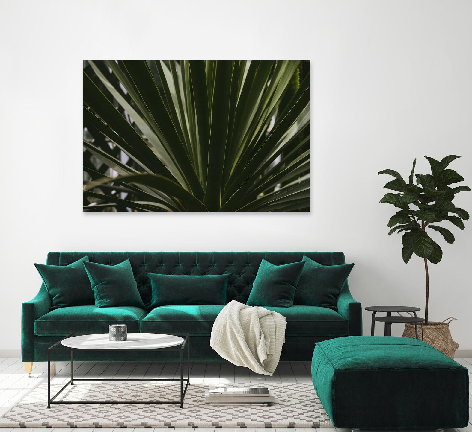 Palm by Pexels on GIANT ART - black tropical