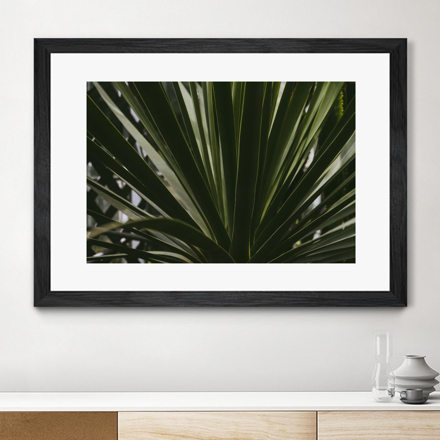 Palm by Pexels on GIANT ART - black tropical