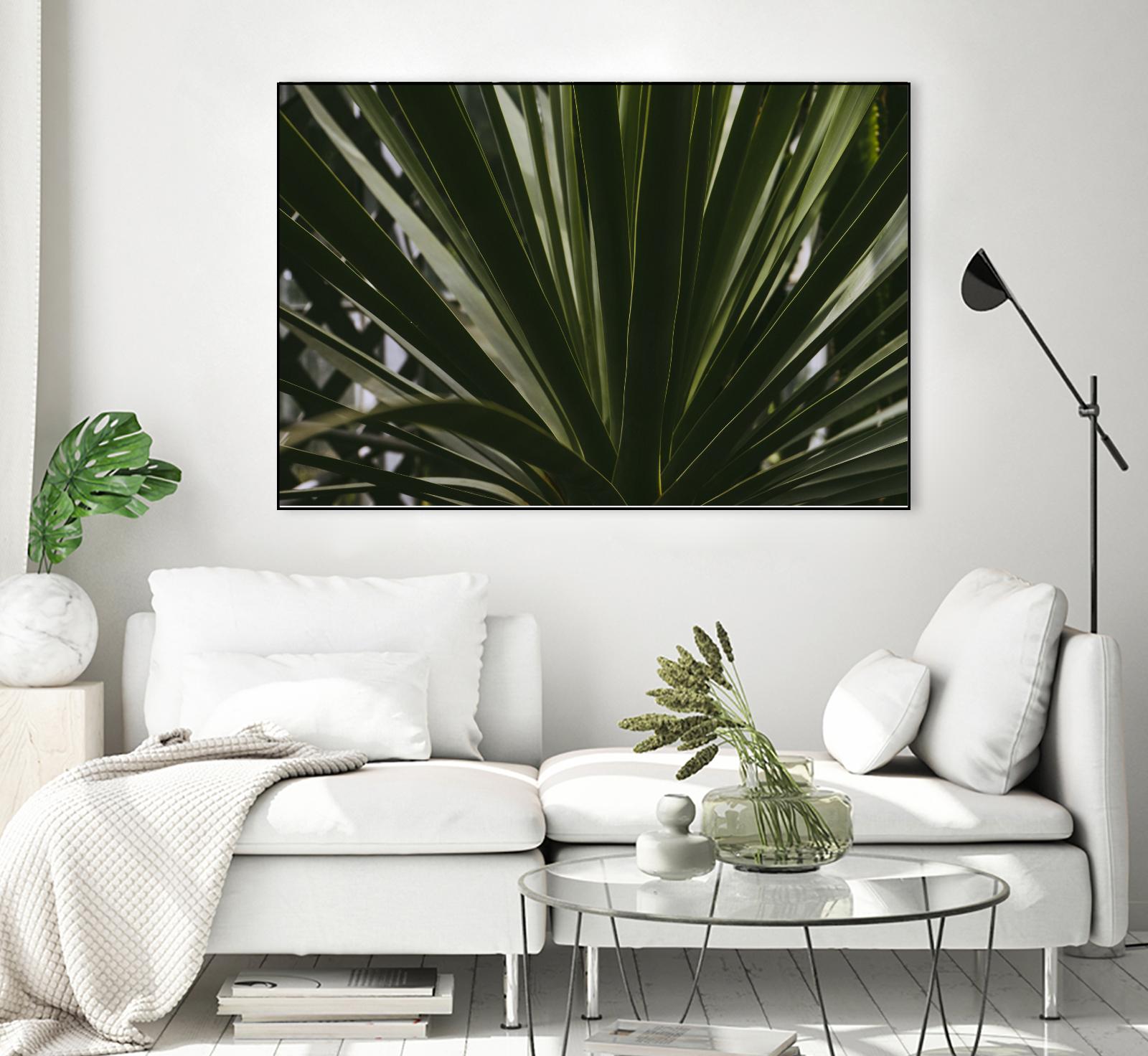 Palm by Pexels on GIANT ART - black tropical