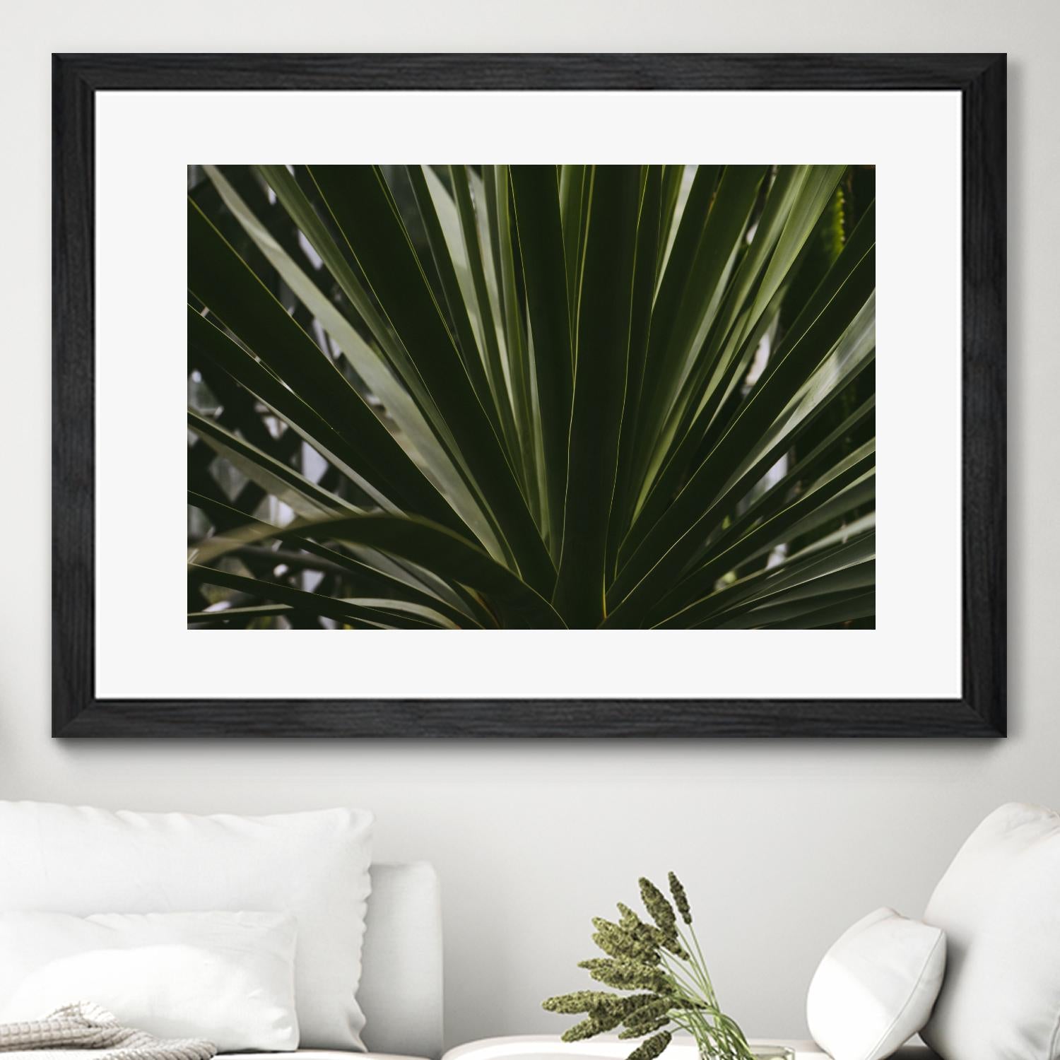 Palm by Pexels on GIANT ART - black tropical