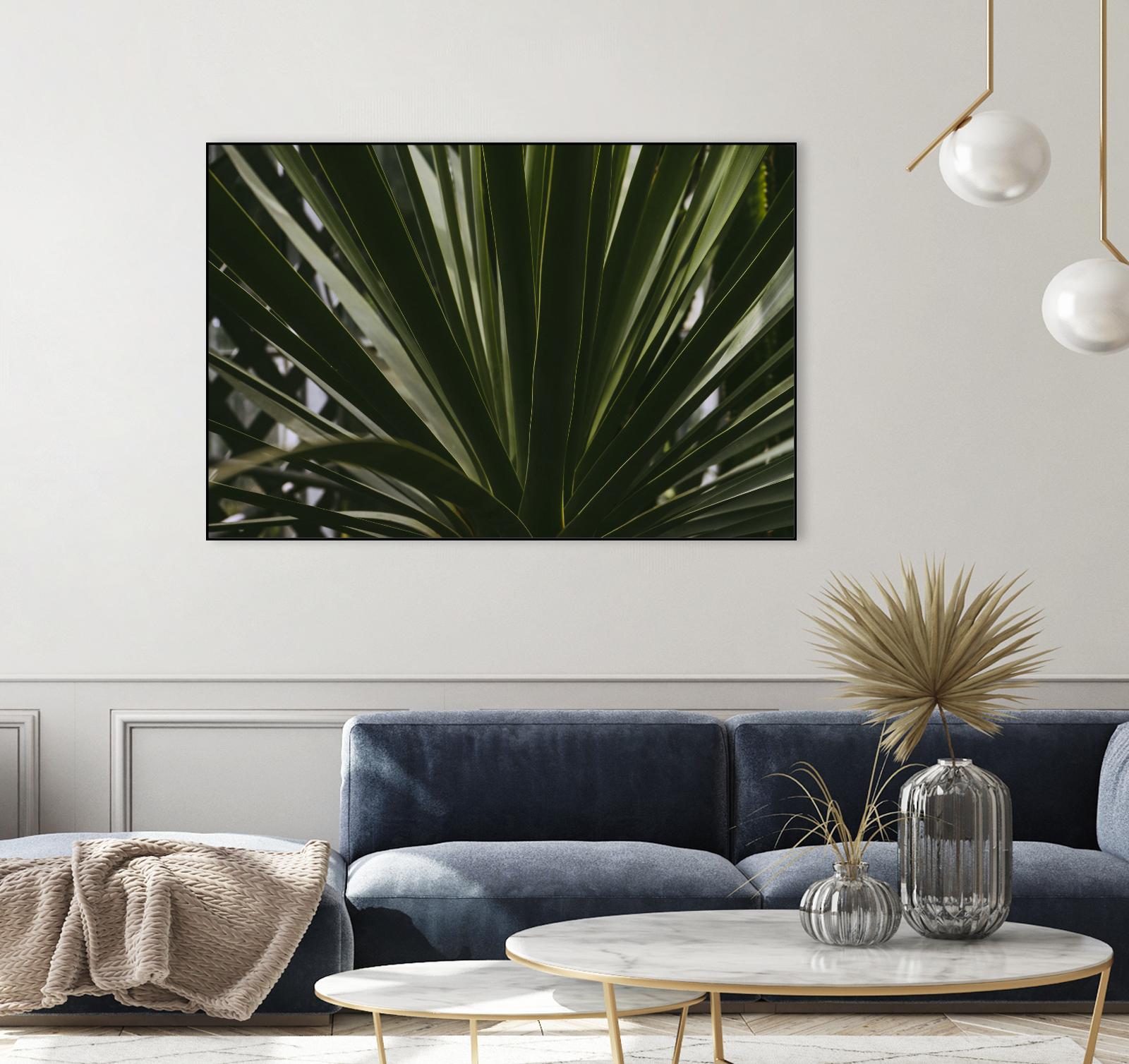 Palm by Pexels on GIANT ART - black tropical