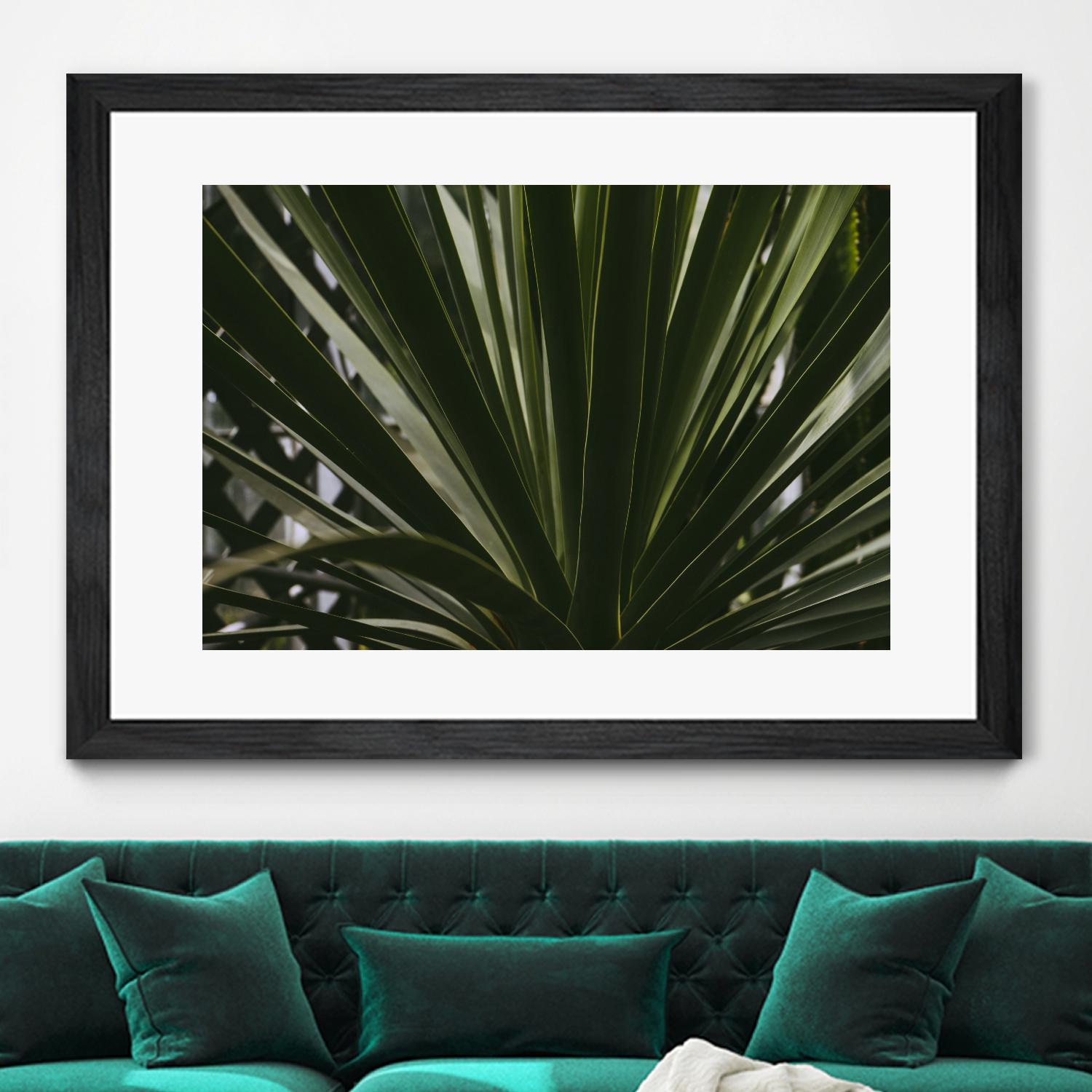 Palm by Pexels on GIANT ART - black tropical