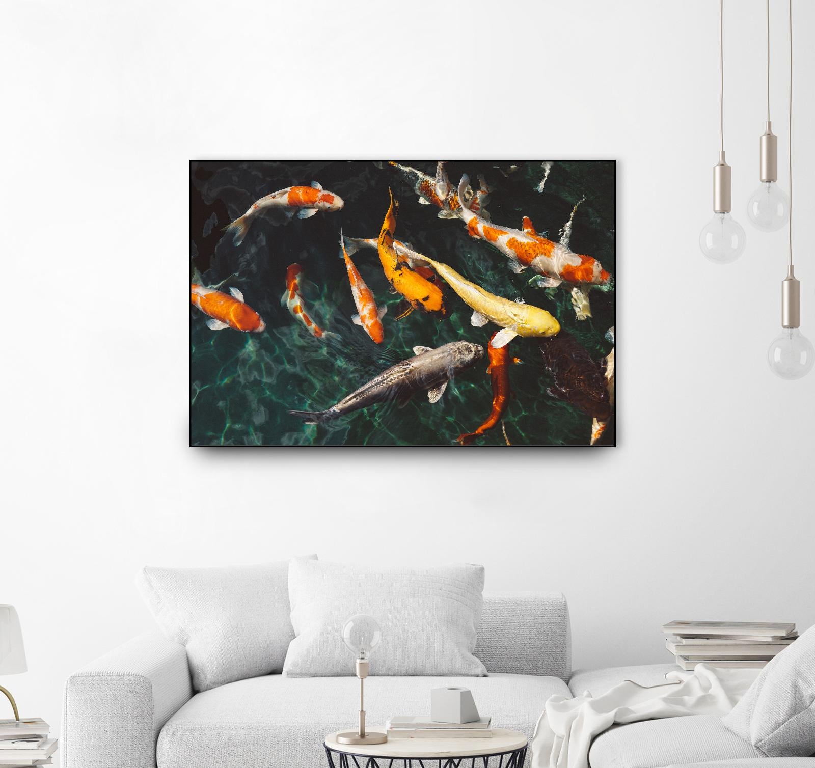 Koi by Pexels on GIANT ART - green animals