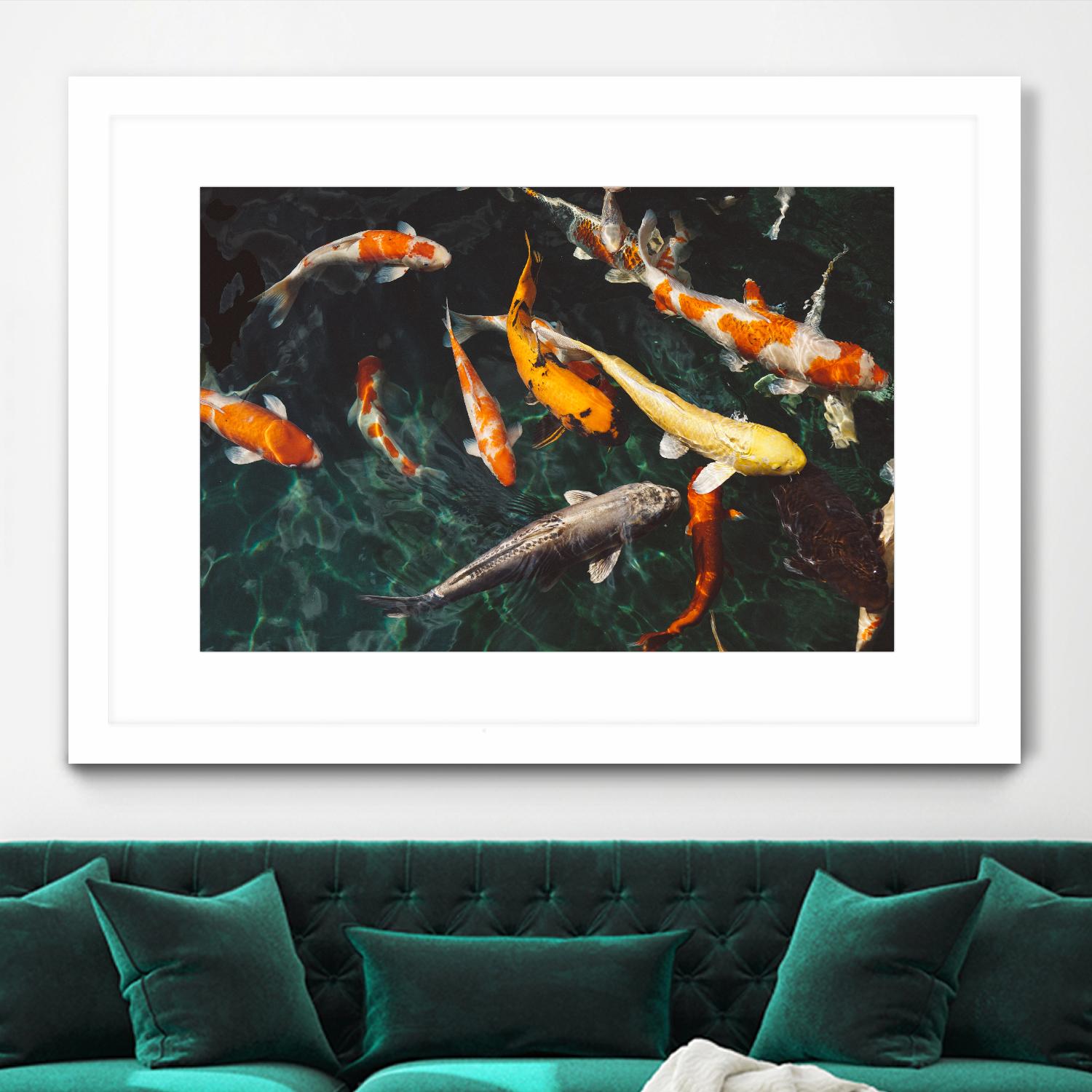 Koi by Pexels on GIANT ART - green animals